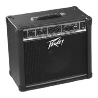 Peavey Transtube Series 110 EFX Operation Manual