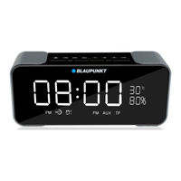 Blaupunkt BT16CLOCK Owner's Manual