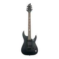 Schecter Damien-6 Supplementary Manual