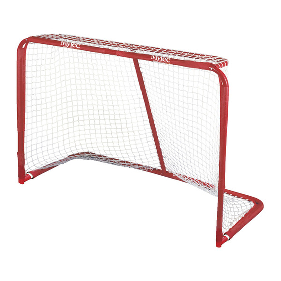 EZ Goal 38 Installation Instructions Manual