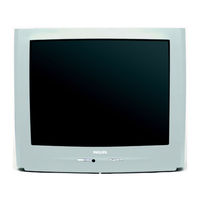 Philips 21PT4458 User Manual
