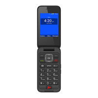 Zte Z2336T User Manual