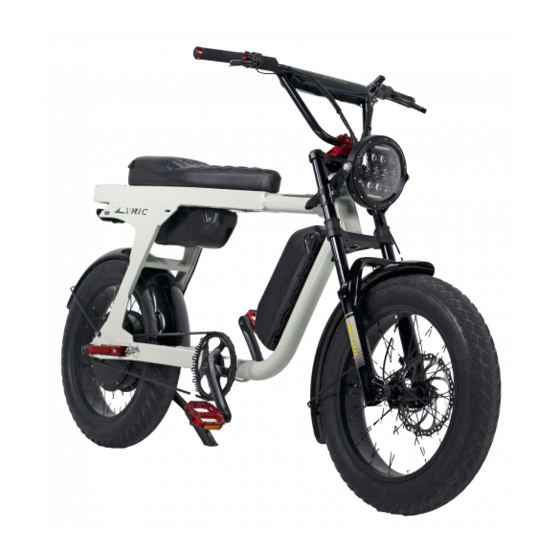 LYRIC Graffiti Electric Bike Manuals