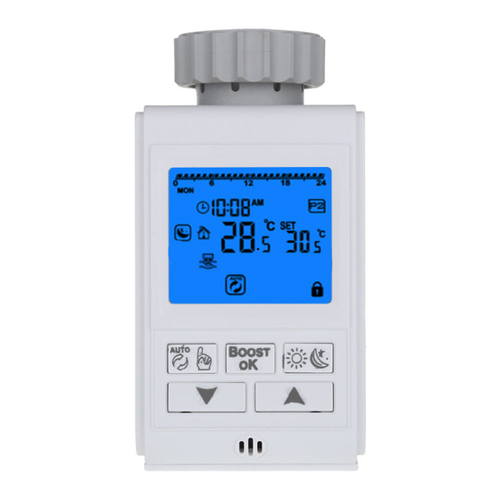 HOTOWELL HTW-21RT Manual