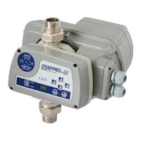 DGFLOW Steadypres Manual