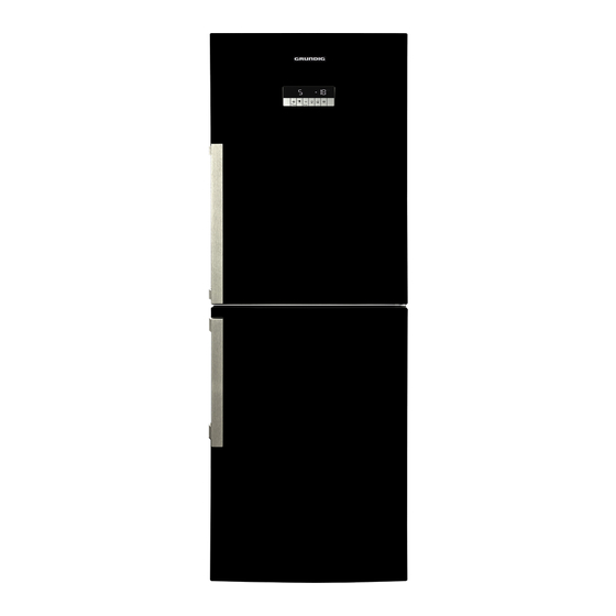 Grundig GKN16910X User Instructions