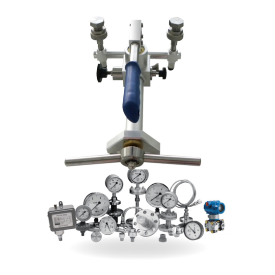 Sino Instruments HS703 User Manual
