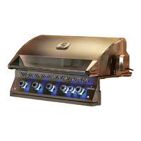 Napoleon BIB10RTPSS-CE Owner's Manual