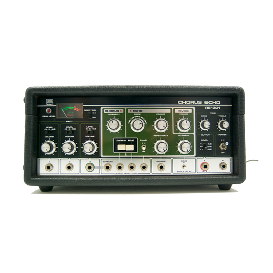 Roland RE-301 Service Notes