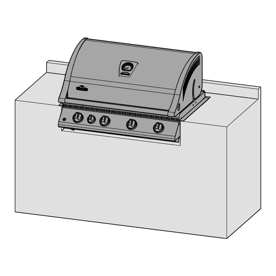 Napoleon BIM605RBI-2 Owner's Manual