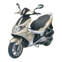 Pgo G-MAX 50 Manual