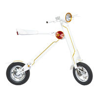 SoFlow Flowbike Pro Genuine Operating Instruction