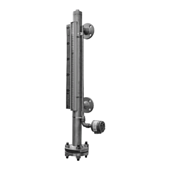 Magnetrol VIZUAL Installation And Operating Manual