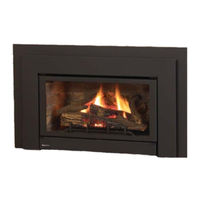 Regency Fireplace Products U32 Owners & Installation Manual