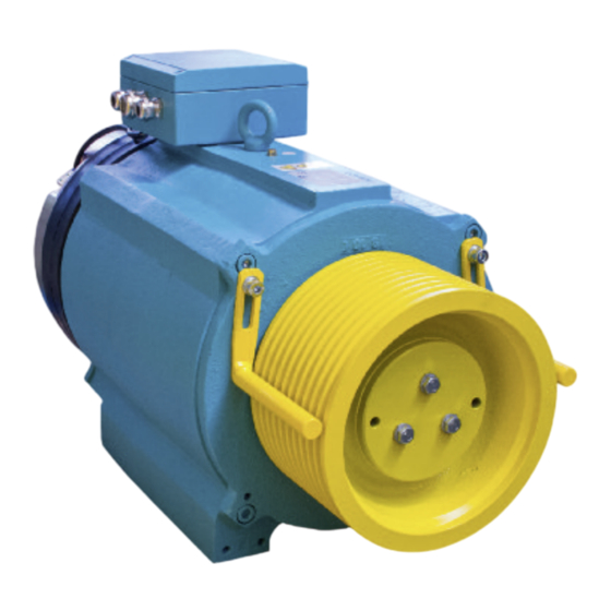 WITTUR servogearless WSG-S1.5 Instruction Manual