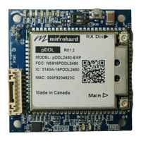 Airborne  Innovations Picoradio Manual