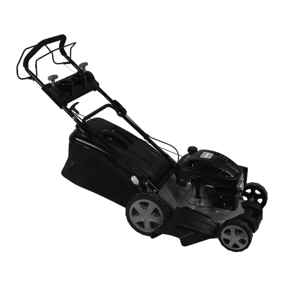 Fieldmann FZR 4618 BV Manual