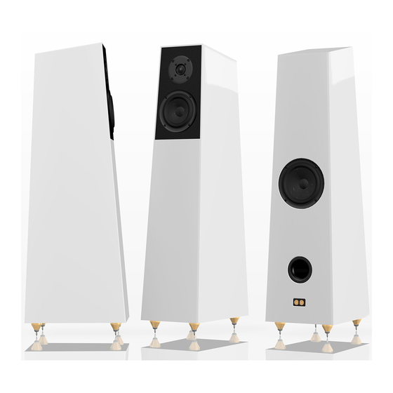 Verity Audio FINN Owner's Manual