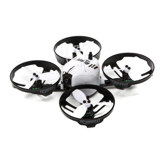 Horizon Hobby blade torrent 110 Instruction Manual