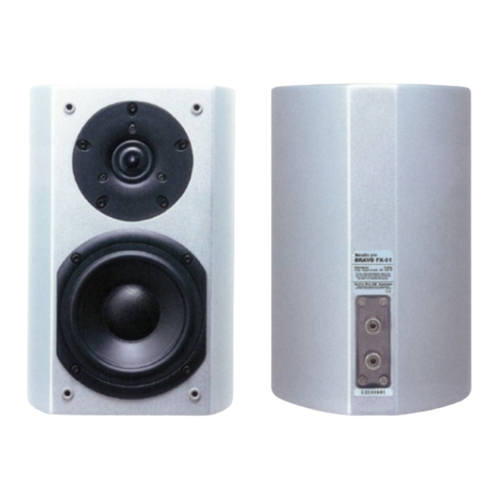 Audio Pro Bravo FX-01 User Manual