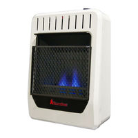 HearthSense BLUE FLAME BF10M-B Owner's Operation And Installation Manual