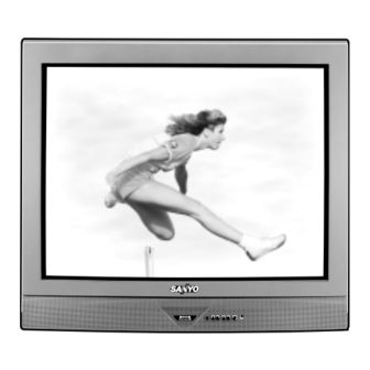 Sanyo DS35520 CRT Television Manuals