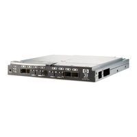 Brocade Communications Systems Fabric OS Encryption Administrator's Manual