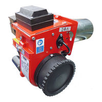 Ecoflam MINOR 12.1 Manual