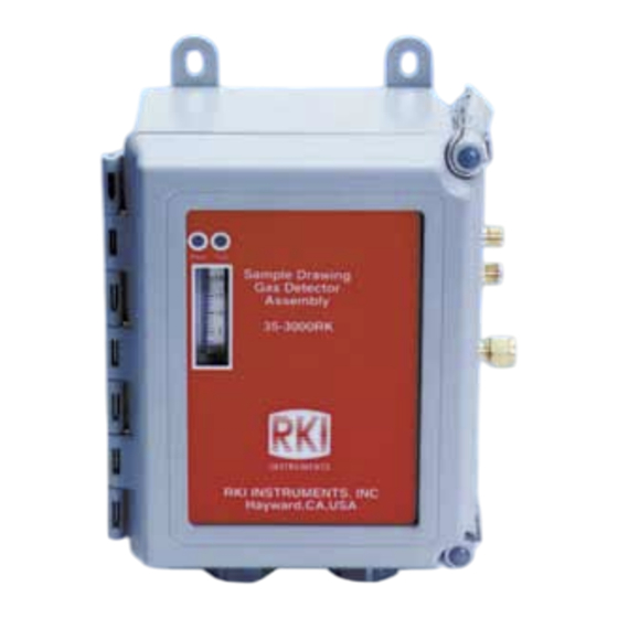 RKI Instruments 35-3010RKA-01 Manual