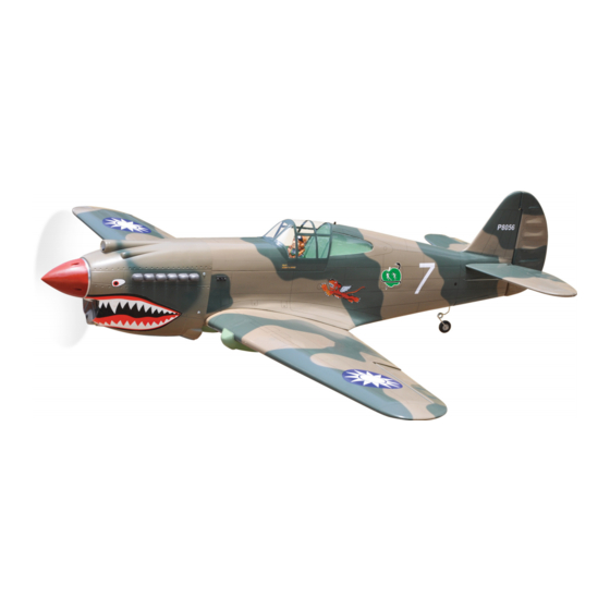 Black Horse Model P-40C Instruction Manual Book