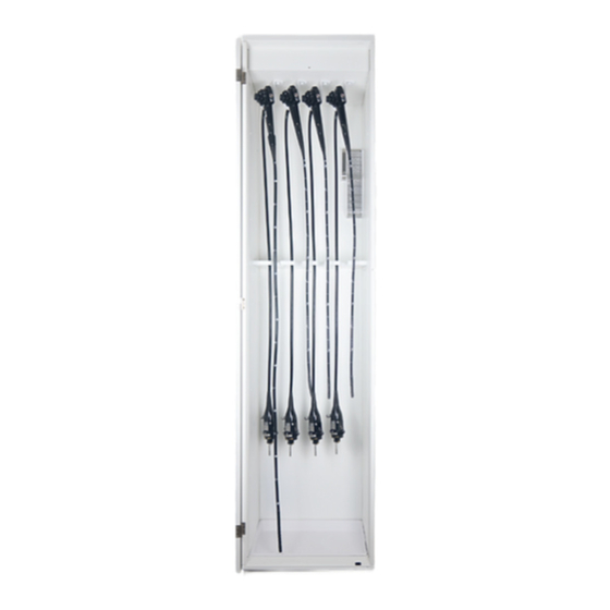 Mass truAIR  Quick Start Manual