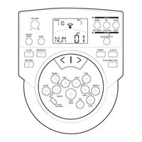 FAME DD 6500 User Manual