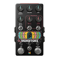 Chase Bliss Audio Billy Strings Wombtone Manual