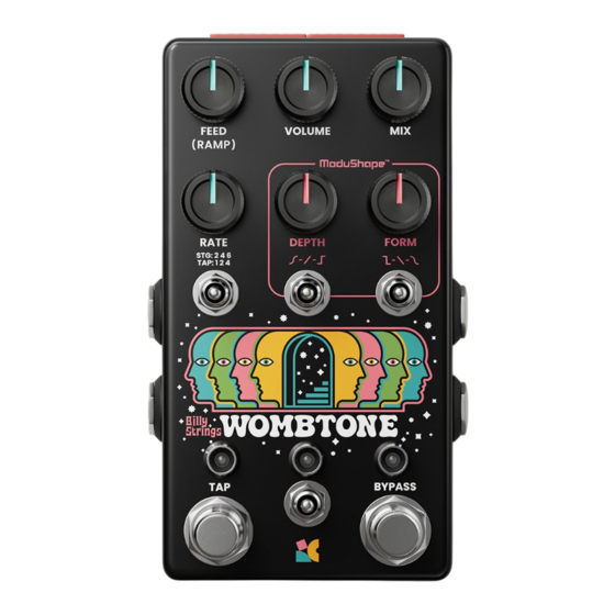 Chase Bliss Audio Billy Strings Wombtone Manual
