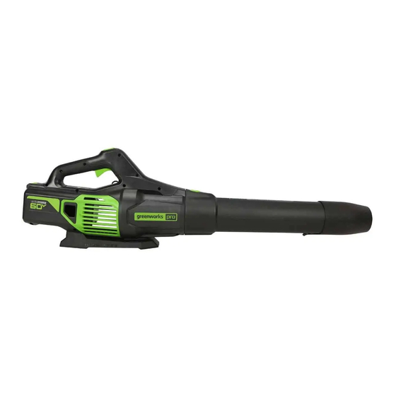 Greenworks bpb60l510 online leaf blower