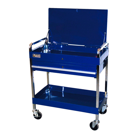 Homak BK05500190 Owner's And Operator's Manual