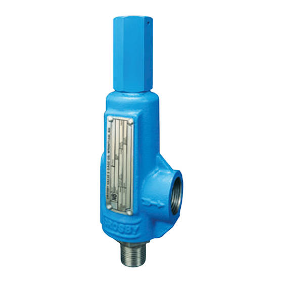 Emerson CROSBY BP SERIES Installation, Maintenance And Adjustment Instructions