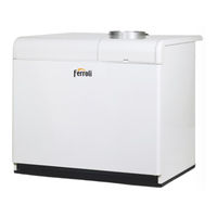 Ferroli PEGASUS F3 N 2S Instructions For Use, Installation And Maintenance