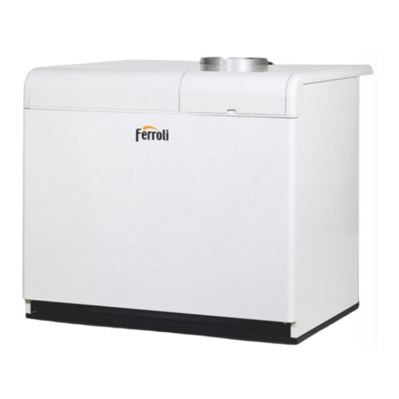 Ferroli PEGASUS F3 N 2S Instructions For Use, Installation And Maintenance