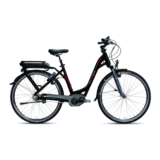 Flyer E-Bike Operating Instructions Manual