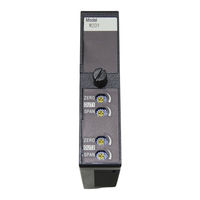 M-System W2DYS Instruction Manual