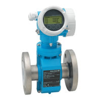 Endress+Hauser Proline Promag P 200 Technical Information