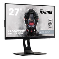 Iiyama G-Master GB256OHSU User Manual