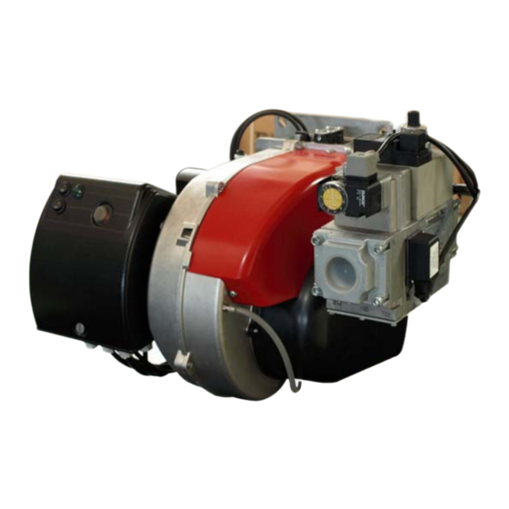 Ecoflam MAX GAS 500 P Manuals