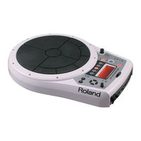 Roland HPD-10 Owner's Manual