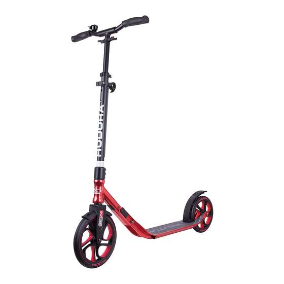 Hudora CLVR 250 Instructions On Assembly And Use