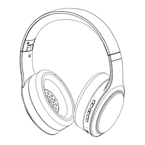 PowerLocus P19 User Manual