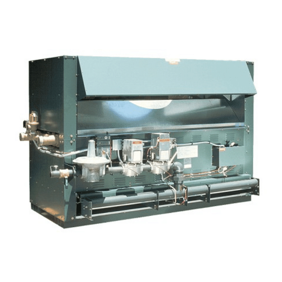 Raypak RAYTHERM 2100 Specifications