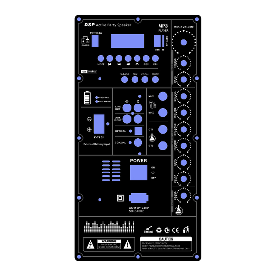 SINGTRONIC BT-1200DSP User Manual