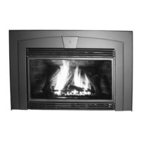 Enviro Sienna Indoor Gas Fireplace Owner's Manual